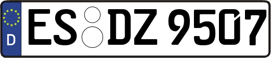 ES-DZ9507