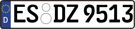 ES-DZ9513