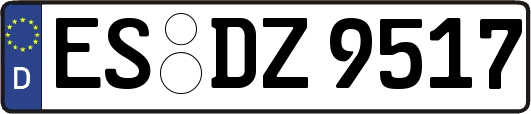 ES-DZ9517