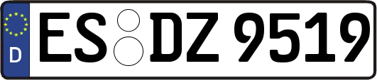 ES-DZ9519