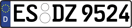 ES-DZ9524