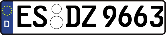 ES-DZ9663