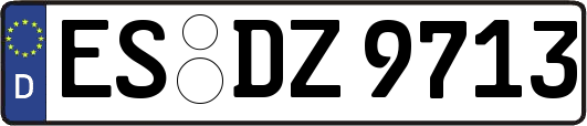 ES-DZ9713