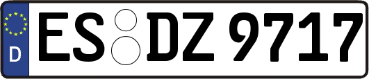 ES-DZ9717