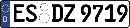 ES-DZ9719