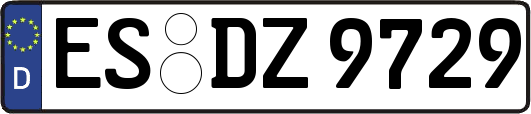 ES-DZ9729