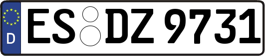 ES-DZ9731
