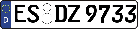 ES-DZ9733