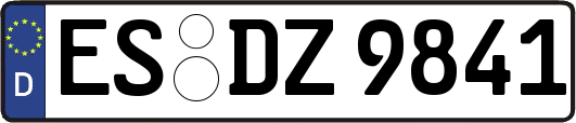 ES-DZ9841