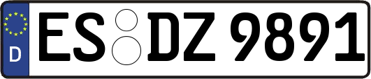 ES-DZ9891