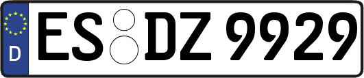 ES-DZ9929