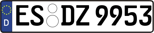 ES-DZ9953