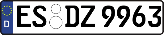 ES-DZ9963