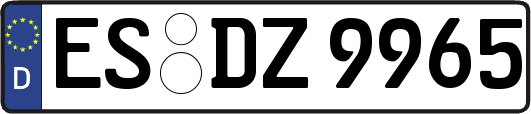 ES-DZ9965