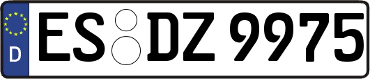 ES-DZ9975
