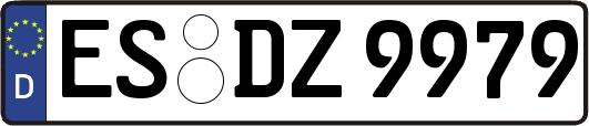 ES-DZ9979