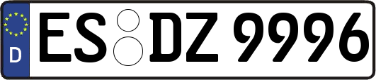 ES-DZ9996