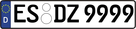 ES-DZ9999
