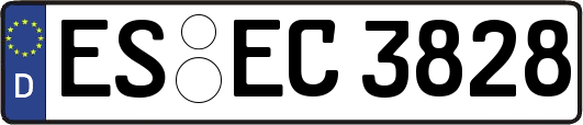 ES-EC3828