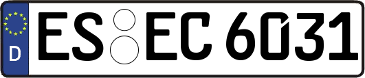 ES-EC6031
