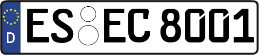 ES-EC8001