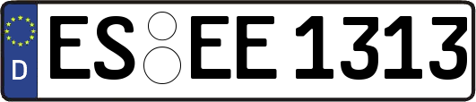 ES-EE1313
