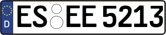 ES-EE5213