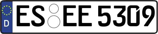 ES-EE5309