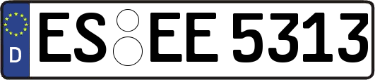 ES-EE5313