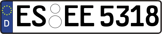 ES-EE5318