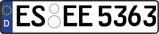 ES-EE5363