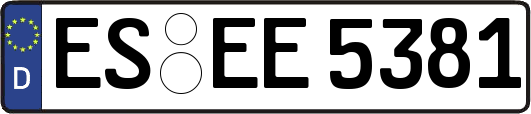 ES-EE5381