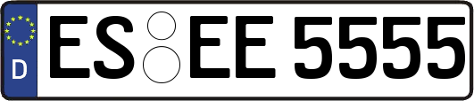 ES-EE5555