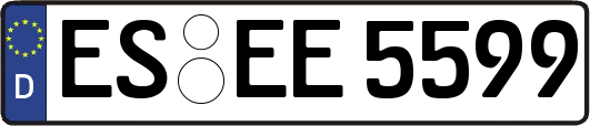 ES-EE5599