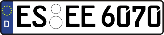 ES-EE6070