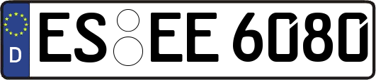ES-EE6080