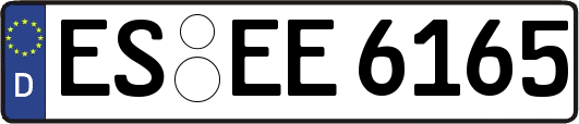 ES-EE6165