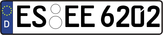 ES-EE6202