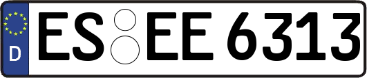 ES-EE6313