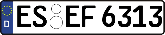 ES-EF6313