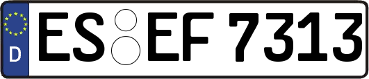 ES-EF7313