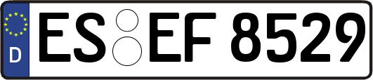 ES-EF8529