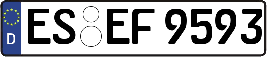 ES-EF9593