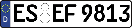 ES-EF9813