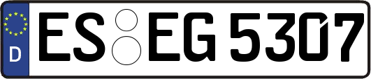 ES-EG5307