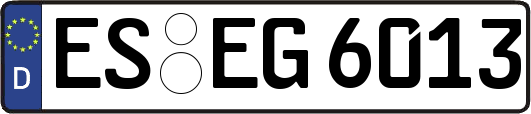 ES-EG6013