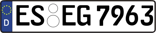 ES-EG7963