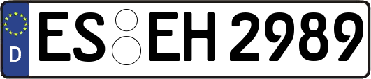 ES-EH2989