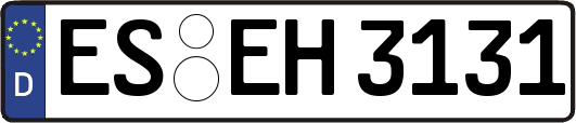 ES-EH3131