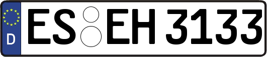ES-EH3133
